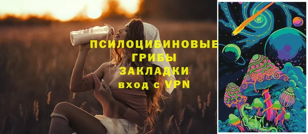 гидра Мегион