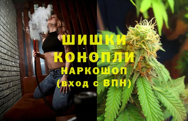 винт Медвежьегорск