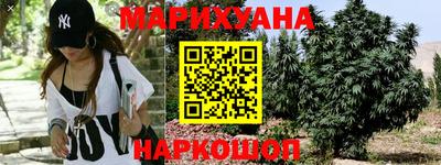 твердый Бийск