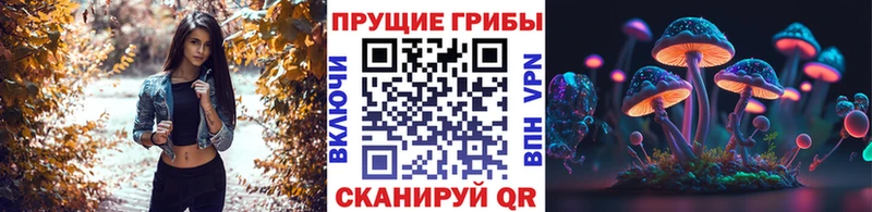 хочу наркоту  Екатеринбург  Псилоцибиновые грибы MAGIC MUSHROOMS 